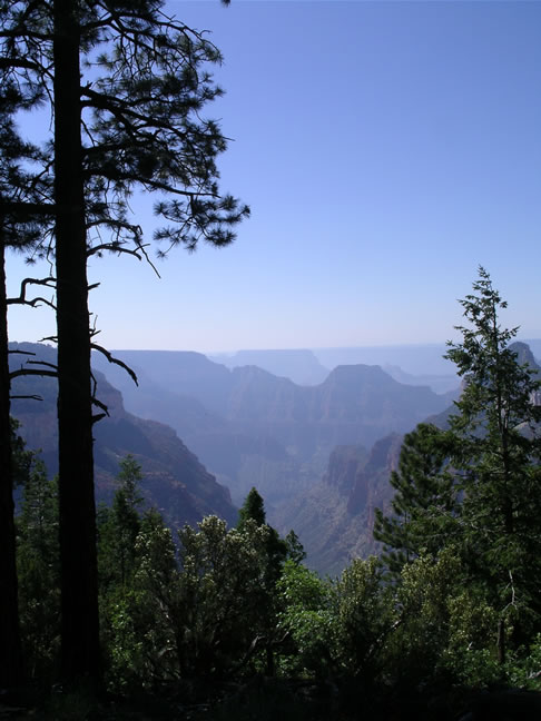 images/Hiking North Rim- Widforss Trail (7).jpg